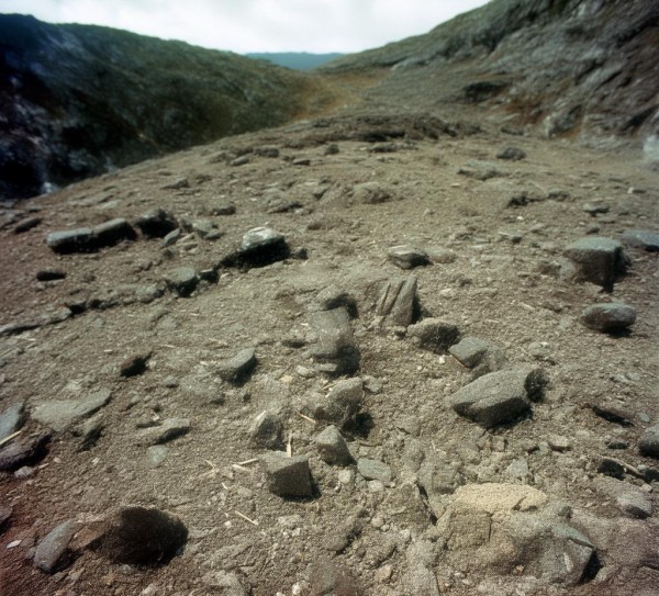 内蒙古金谷农业科技开发有限公司,科技赋能农业现代化,引领乡村振兴新路径