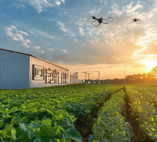 黑龙江丰旺农业科技开发有限公司,科技赋能现代农业,引领区域农业高质量发展 黑龙江丰旺农业科技开发有限公司,科技赋能现代农业,引领区域农业高质量发展